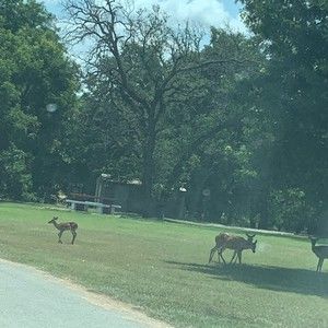 Meet your Posher, Nasha